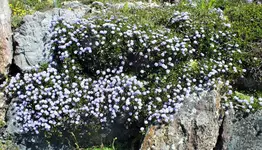 DSCF5844 (3).webp