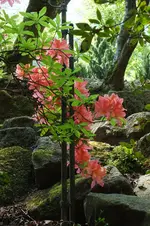 DSCF5820 (2).webp