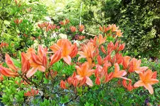 DSCF5823 (2).webp