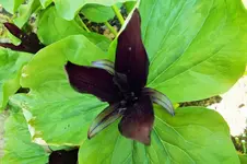 DSCF5811 (2).webp
