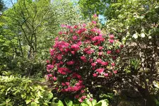 DSCF5818.webp