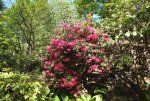DSCF5818.jpg
