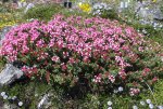DSCF5843.jpg
