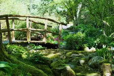 DSCF5821 (2).webp