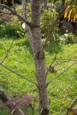 SAM_1231.webp