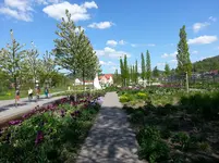 20160508_152259.webp