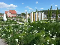 20160508_150943.webp