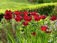 image.webp
