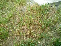 IMG_20160512_082605.webp