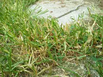 IMG_20160512_082639.webp