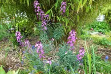 DSCF5870 (2).webp