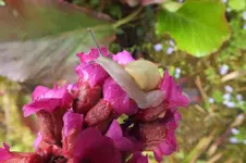DSCF5880.webp