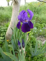 P1110088.webp