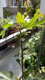 20160511_120719.webp