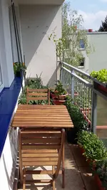 20160511_120633.jpg