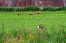 DSC_4256.webp