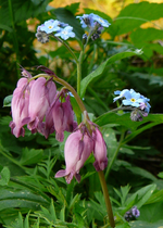 P1110797.webp