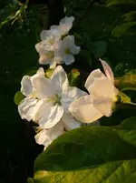 P1110806.webp