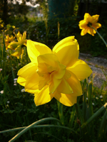 P1110814.webp