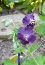 P1110780.webp