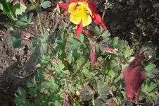 SAM_1256.webp