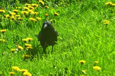 DSCN6201.webp