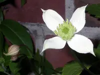 IMGP8727.webp