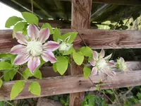 P1110302.webp
