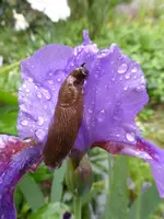 P1110244.webp