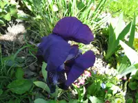 IMG_4742.webp