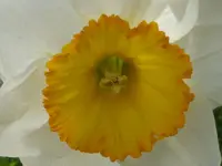 P1000144.webp