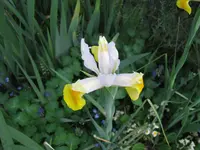 IMG_4757.webp