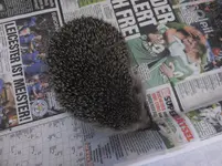 DSCF9001.webp