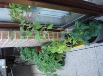 DSC04877.webp