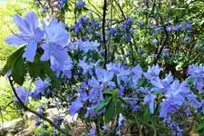 DSCF5808 (2).webp