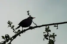 DSCF5867 (2).webp