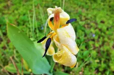 DSCF5884 (2).webp