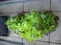 DSC04878.webp