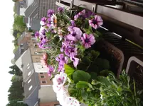 DSC04865.webp