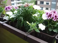DSC04867.webp