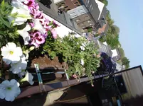 DSC04887.webp