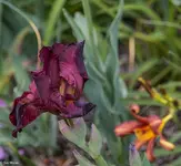 IMG_9308-2.webp