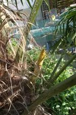 SAM_1262.webp