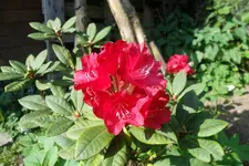 SAM_1267.webp