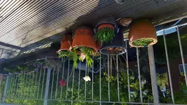 20160507_174040.webp