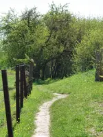 image.webp