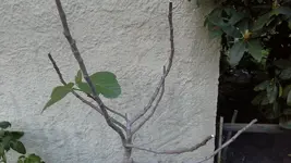 20160513_205630.webp
