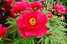 2016-05-13-8433.webp