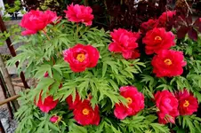 2016-05-13-8434.webp