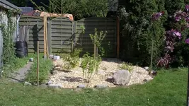 IMGP8728.webp